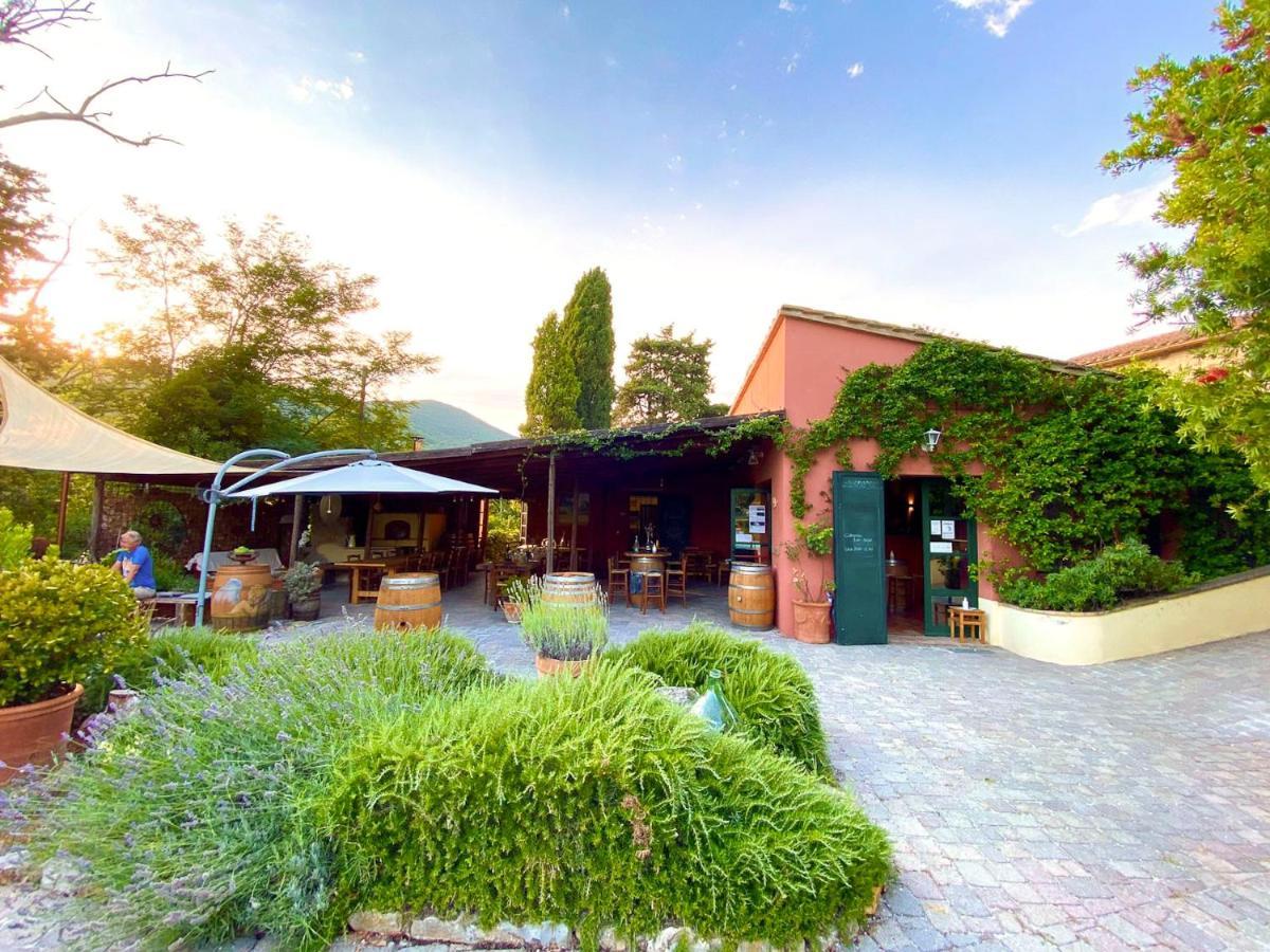 Agriturismo Terenzana Aparthotel Riparbella Kültér fotó