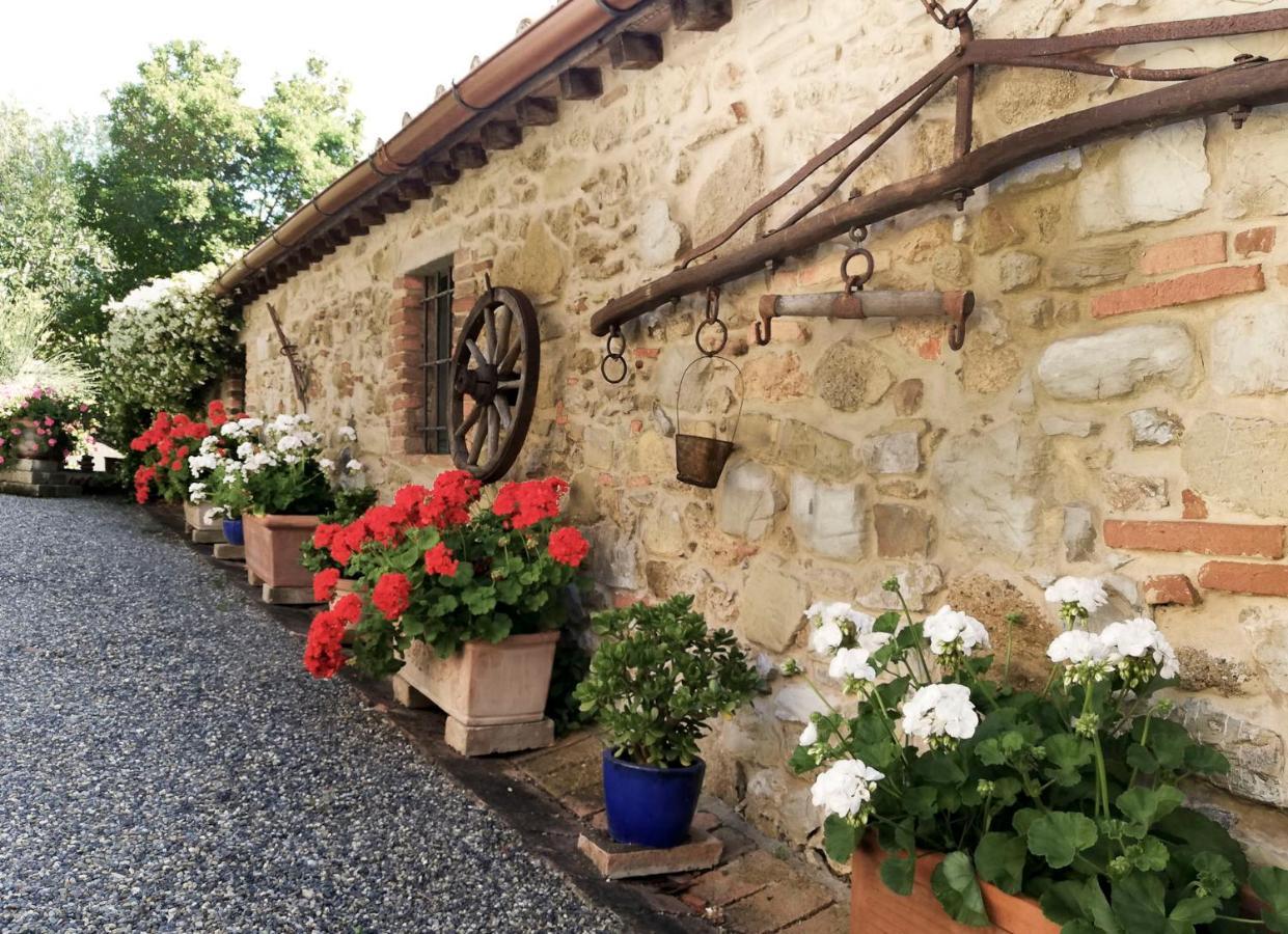 Agriturismo Terenzana Aparthotel Riparbella Kültér fotó