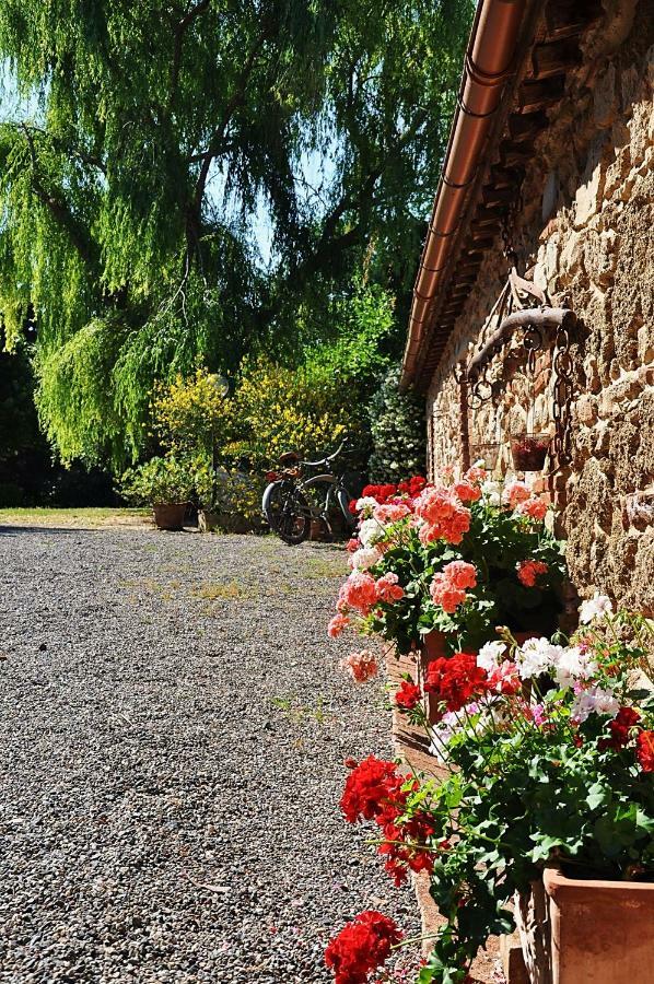 Agriturismo Terenzana Aparthotel Riparbella Kültér fotó