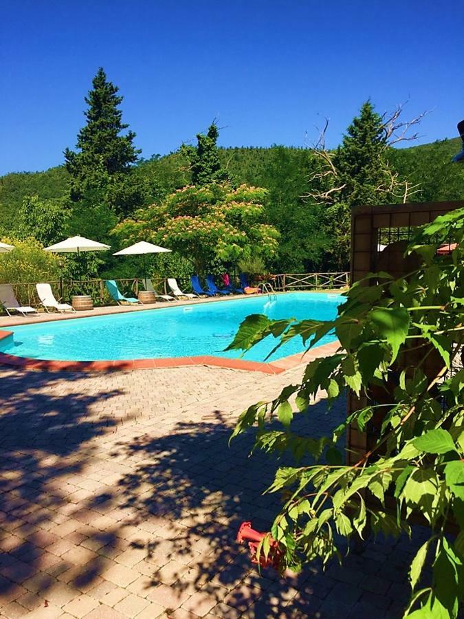 Agriturismo Terenzana Aparthotel Riparbella Kültér fotó