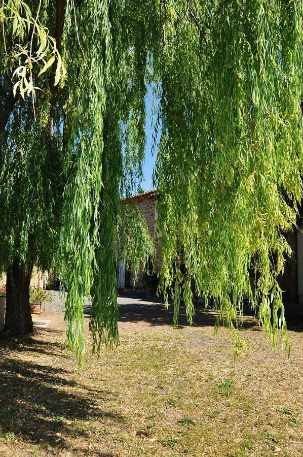 Agriturismo Terenzana Aparthotel Riparbella Kültér fotó